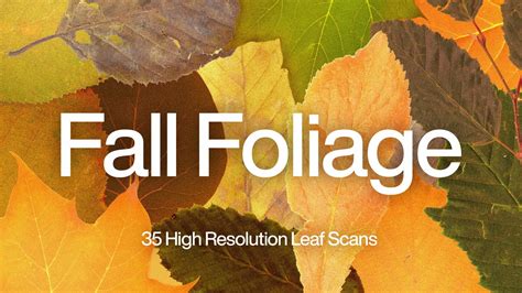 Fall Foliage | Design Tools - Remix Church Media - Church Graphics