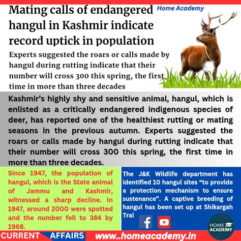 critically endangered hangul in Kashmir indicate record uptick in ...