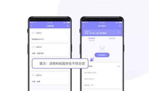 Mes Program 的图像结果