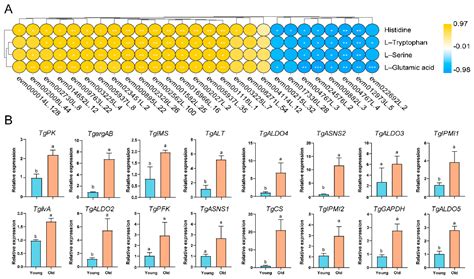 Integrated Metabolomics, Transcriptome and Functional Analysis Reveal ...
