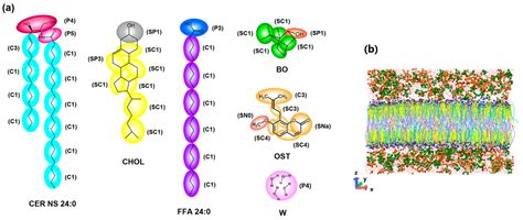 Effects of Concentrations on the Transdermal Permeation Enhancing ...