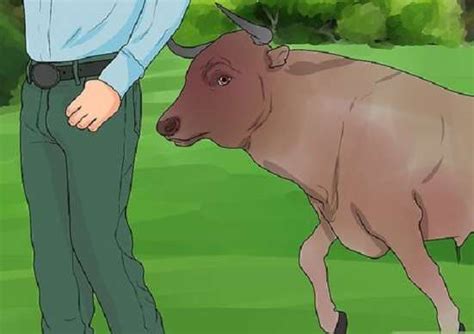 सड़क से गुजर रहे राहगीर को सांड़ ने पटक-पटककर मार डाला Kanpur News ...