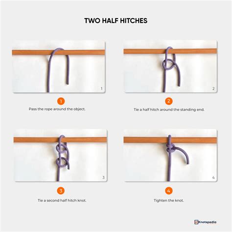 Types of Knots: 25+ Essential Knots Everyone Should Learn