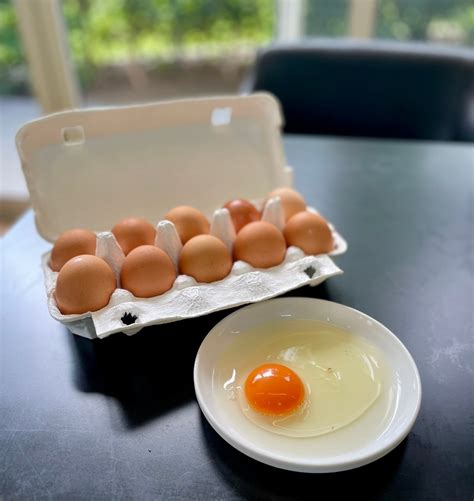 eggg