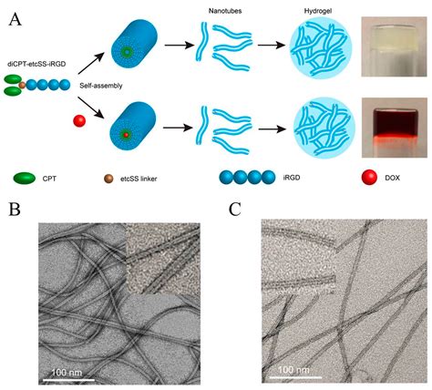 Development of Natural-Drugs-Based Low-Molecular-Weight Supramolecular Gels