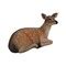 Laying Fawn Deer Life Size Statue | Michaels