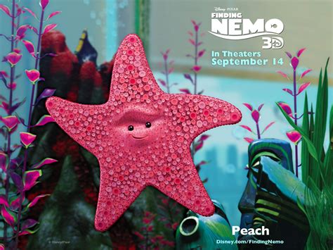 Finding Nemo Starfish