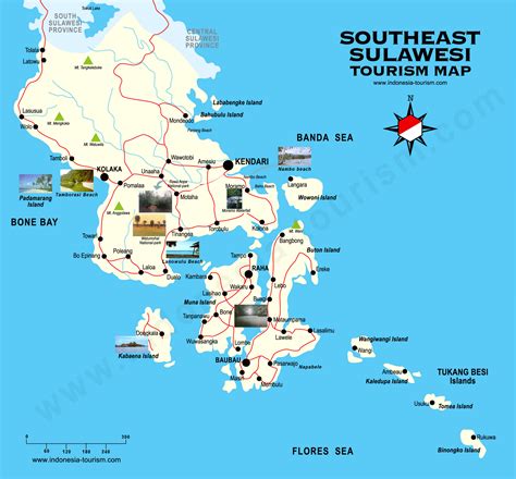 Sulawesi Map Political Simple Map Of South East Sulawesi, Single Color