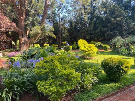 The Fairway - Houses for Rent in Harare, Harare Province, Zimbabwe - Airbnb