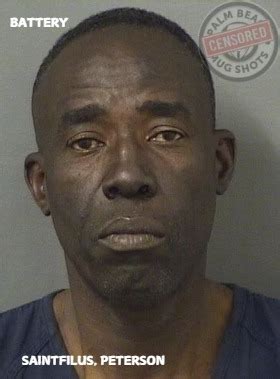 Palm - SAINTFILUS, PETERSON Arresting Agency: 01-PBSO Charges 784.03 ...