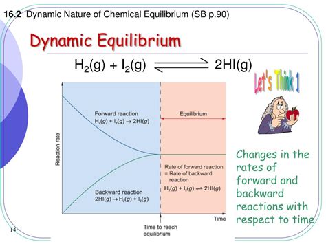 Image result for Dynamic Equilibrium State