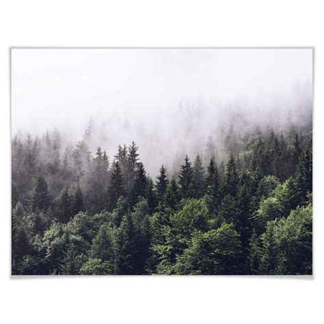 Poster Foggy Forest | wall-art.com
