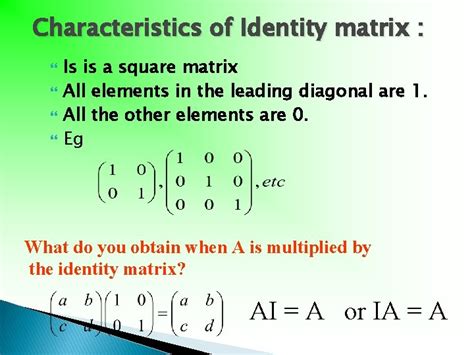 Image result for Identity Matrices