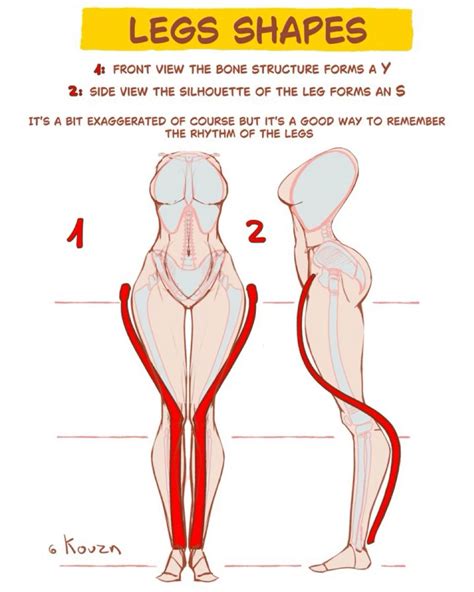 Image result for Body Drawing Reference