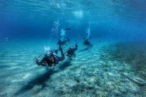 SEAWORLD SCUBA DIVING CENTER (2026) All You Need to Know BEFORE You Go ...