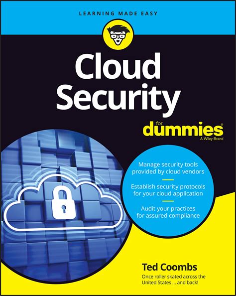 Buy Cloud Security For Dummies: Hone Your Vision, Shift Your Energy ...