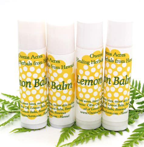 Can You Juice Lemon Balm at Walter Gallup blog