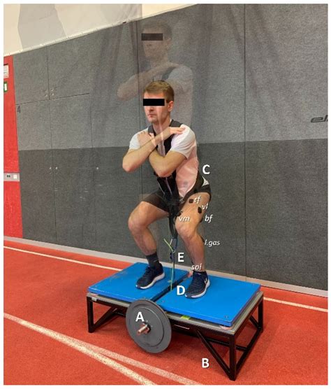 Muscle Activation Sequence in Flywheel Squats