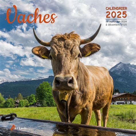 Buy Calendrier Vaches 2025 Book Online at Low Prices in India ...