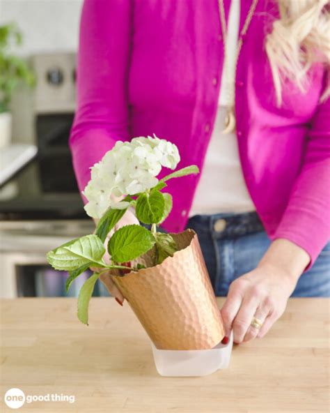 Image result for How to Reuse Milk Containers