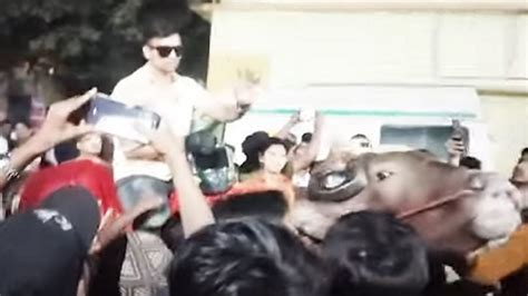 VIDEO: YouTuber Rehan Rides Buffalo Outside Hospital For Reel In Amroha ...