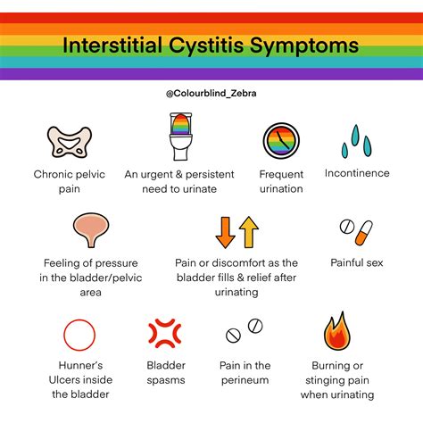 Best 13 New Approaches in Managing Interstitial Cystitis/Bladder Pain ...