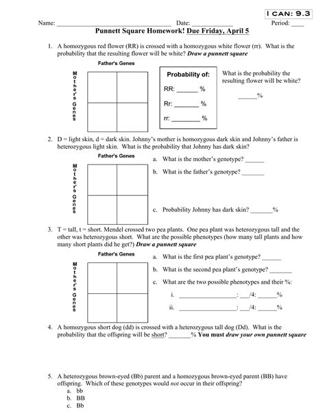 Punnett Squares Practice Worksheet