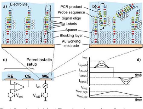 CMOS Electronic DNA Replication 的图像结果