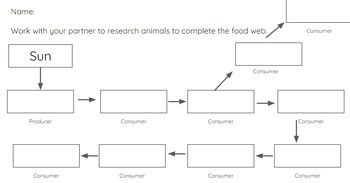 Image result for Create a Food Web