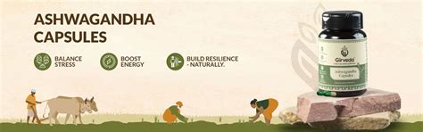 Girveda | Natural Food and Ayurvedic Products | From the Land of Gir