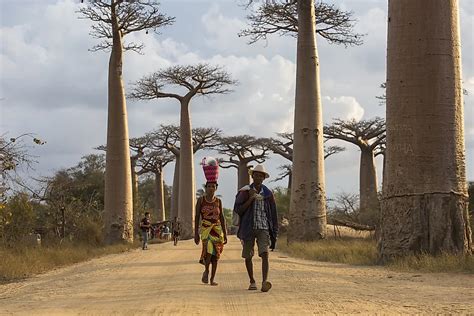 People in Madagascar 的图像结果