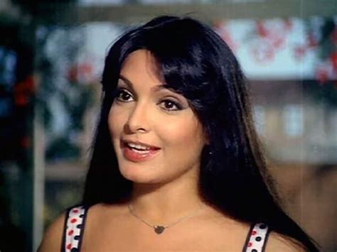 Exclusive: Parveen Babi's biopic in the works, Triptii Dimri might play ...