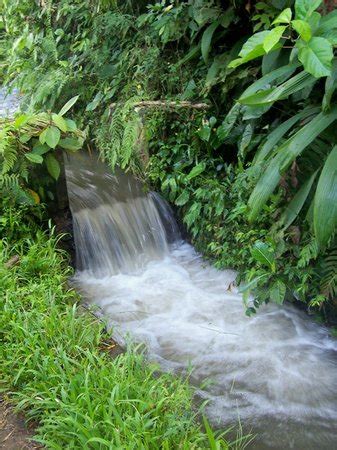 Ubud Photos - Featured Images of Ubud, Gianyar Regency - Tripadvisor
