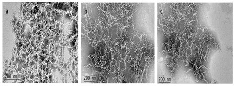 Characterization of Type-II Acetylated Cellulose Nanocrystals with ...