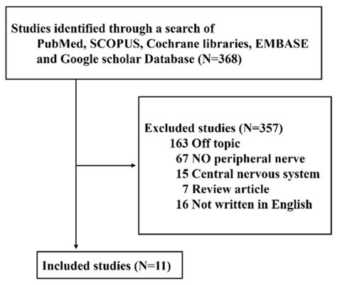 Roles of SMAD and SMAD-Associated Signaling Pathways in Nerve ...