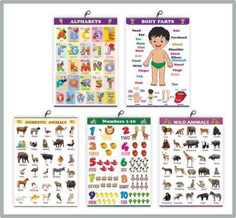 Early Learning Educational Charts set for Kids Size-50X71CM Set of 5 ...