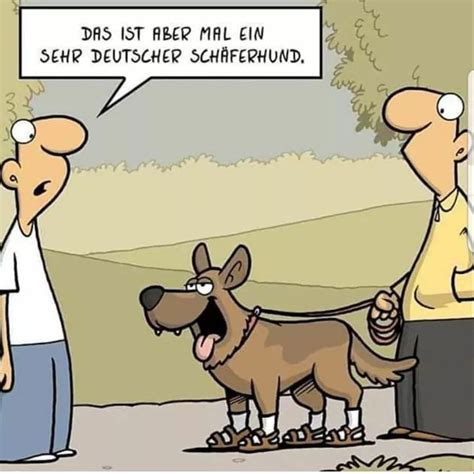 OIP.8FSHk7uTTTHcgPDBUDX30AHaHa