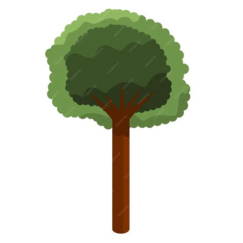 Tree Vector 的图像结果