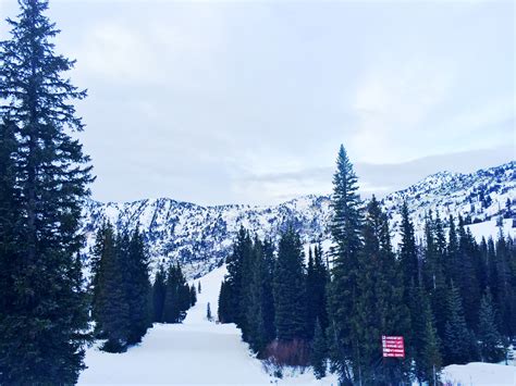 Grungy Slopes | GOLDMINER'S DAUGHTER LODGE - Alta, Utah — Grungy Gentleman