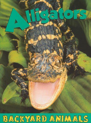 Buy Alligators (Backyard Animals) Book Online at Low Prices in India ...