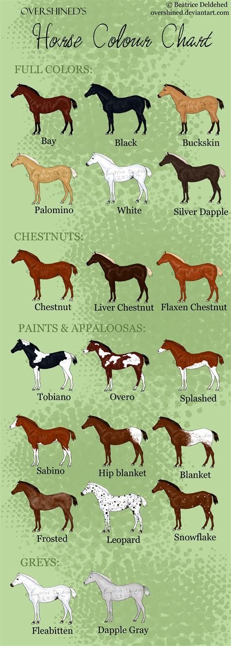 Horse Color Chart Breeding - Educational Chart Resources