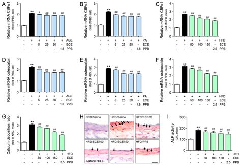 Attenuating Effects of Pyrogallol-Phloroglucinol-6,6-Bieckol on ...