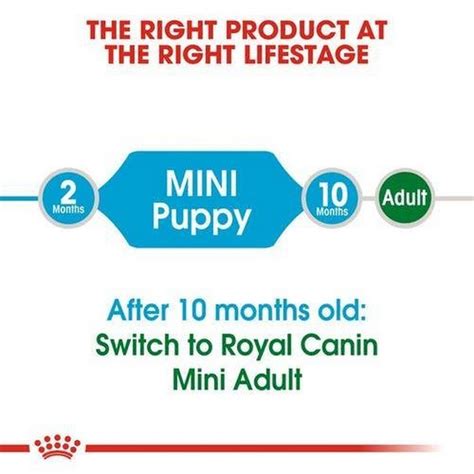 Buy Royal Canin Mini Puppy Dry Dog Food, 800gm Online - MyPetz