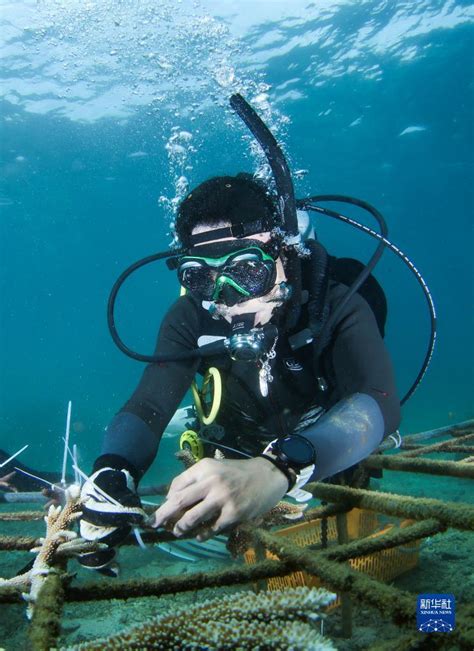 长滩岛深潜体验潜水 中文讲解教练陪同免费拍照线路推荐【携程玩乐】