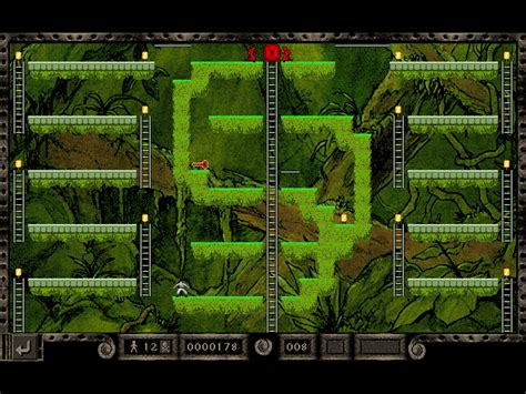 Image result for Lode Runner Windows