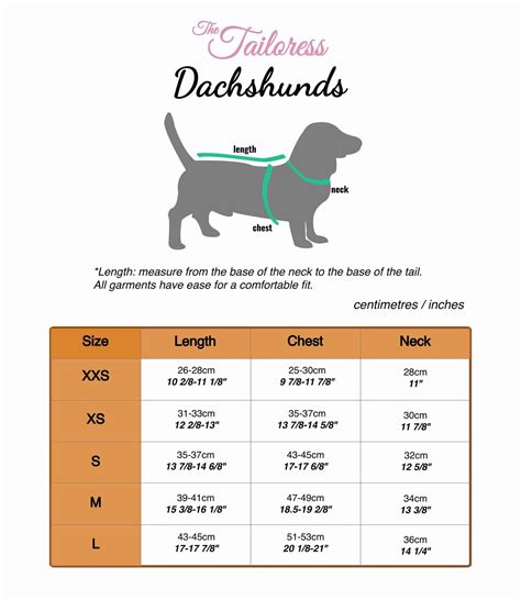 Miniature Dachshund Weight Chart How Big Do Dachshunds Get? Dachshund