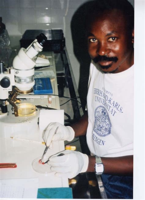 David Lab 的图像结果