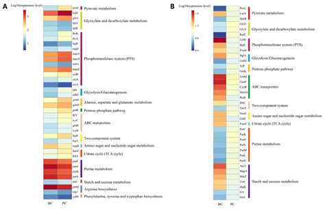 Characterization and Multi-Omics Basis of Biofilm Formation by ...