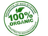 Organic Ajwain* – GreenDNA® India