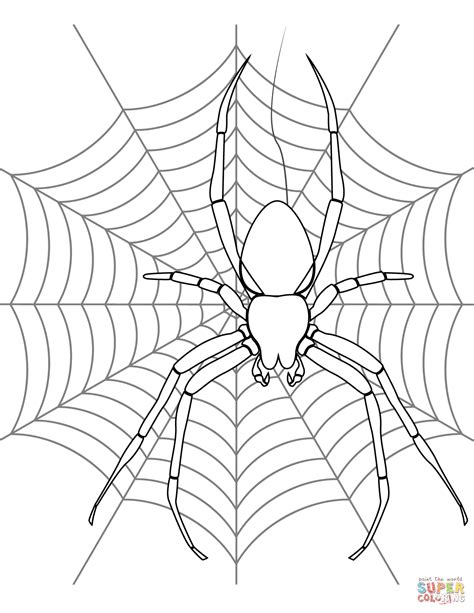 Free Coloring Pages Of Spiders